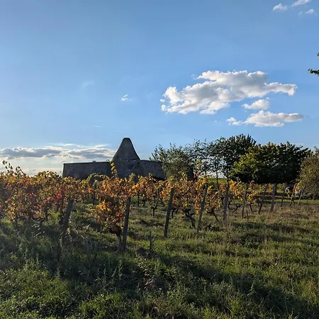 Domaine Des Moulins De * Montreuil-Bellay