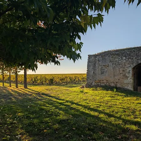 Domaine Des Moulins De * Montreuil-Bellay