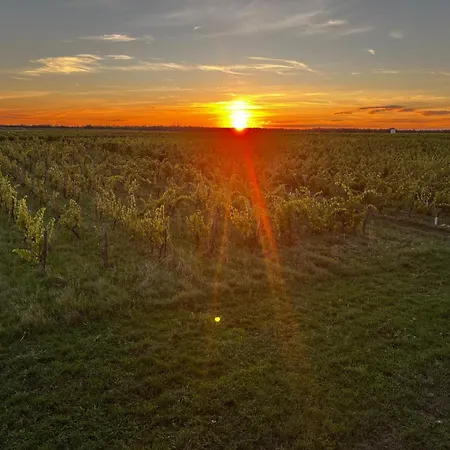 Domaine Des Moulins De Montreuil-Bellay