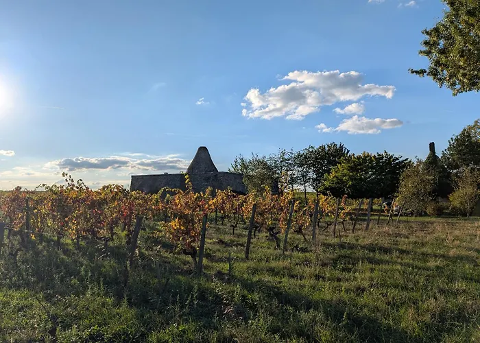 Domaine Des Moulins De * Montreuil-Bellay