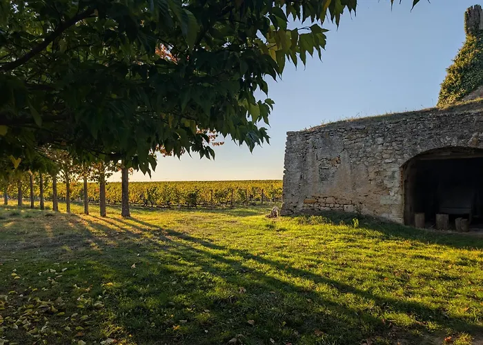 Domaine Des Moulins De * Montreuil-Bellay